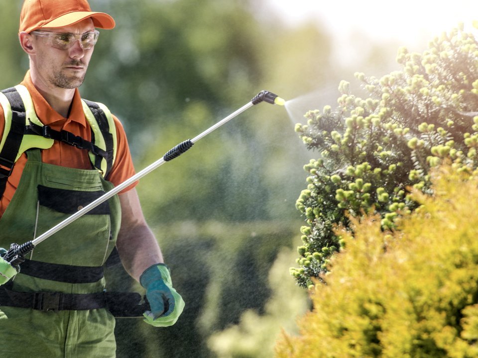 Blog Post Title Blade Runners